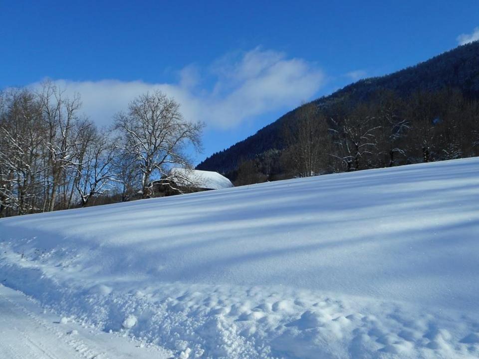 Bed and Breakfast La Grange Le Noyer  Экстерьер фото